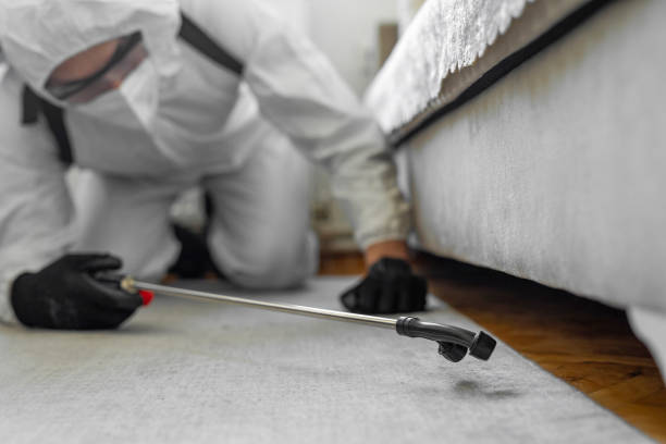 Professional Bed Bug Control technician working in Aliceville, AL