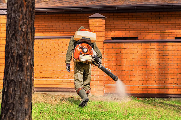Trusted Ant Control service in Aliceville, AL - Nex Pest Control